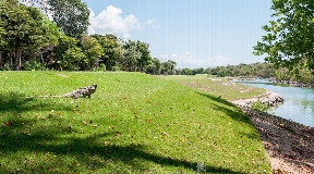 Increible propiedad de 3 lotes en venta en Akumal